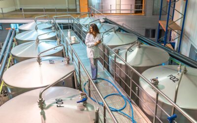 Inspection visuelle dans l&rsquo;agroalimentaire : normes, équipements et bonnes pratiques
